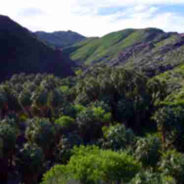 Palm Canyon, Mountains