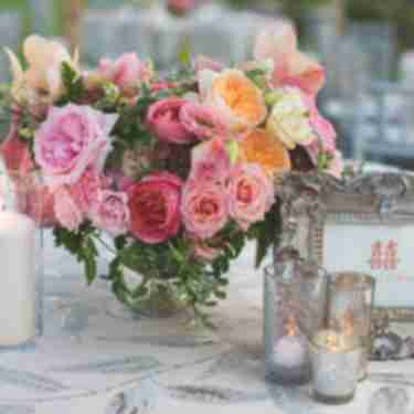 seth angela wedding