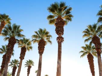 JW Marriott Desert Springs Resort & Spa