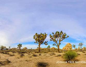 CAD_CENTRAL_headerJoshuaTree
