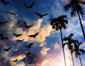 Halloween Blog Header