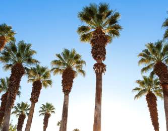 JW Marriott Desert Springs Resort & Spa
