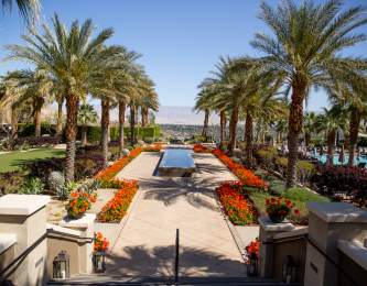 Blue sky, palm tree lined path with reflective water in middle