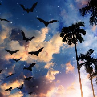 Halloween Blog Header