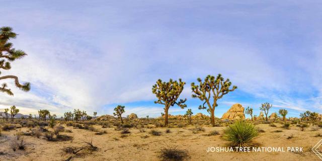 CAD_CENTRAL_headerJoshuaTree