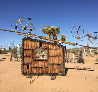 Art_JoshuaTree_NoahPurifoy