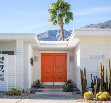 Modernism house with pretty palm tree background and orange door.