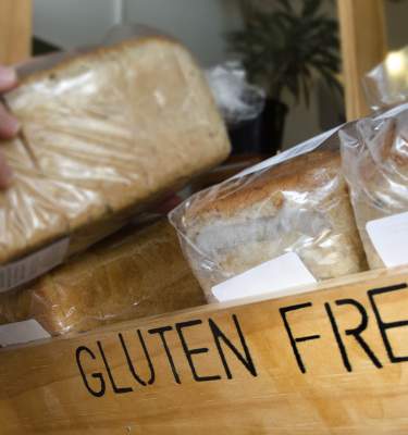 gluten free bread