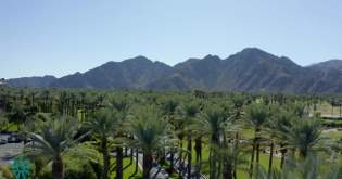 Greater Palm Springs: Get Autism Certified!