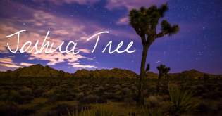 Joshua Tree ~ Wander List