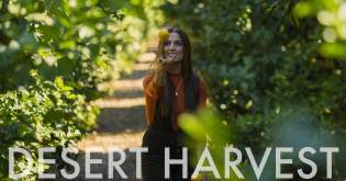 Desert Harvest ~ Wander List