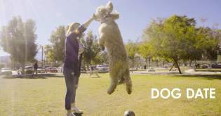 Plan the Perfect Pet-Friendly Getaway in Greater Palm Springs