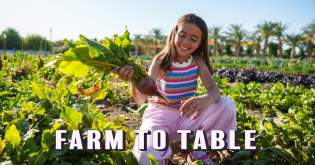 Farm-to-Table Dining: Local Flavors in Bloom