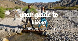 Your Guide to Hiking in Greater Palm Springs