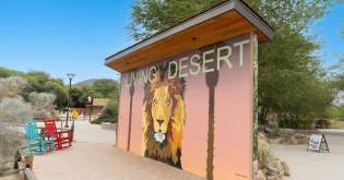 An Oasis of Art: From Murals to Music