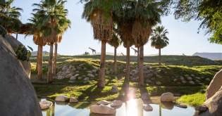 Plan Your Family Getaway This Summer at The Living Desert