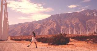 Windmills ~ Wander List
