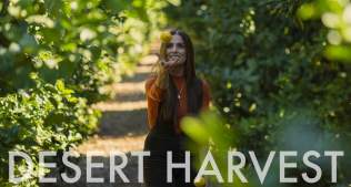 Desert Harvest ~ Wander List