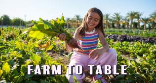 Farm-to-Table Dining: Local Flavors in Bloom