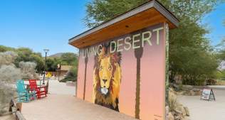 An Oasis of Art: From Murals to Music