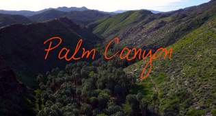 Palm Canyon ~ Wander List