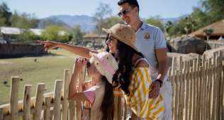 Plan Your Family Getaway This Summer at The Living Desert