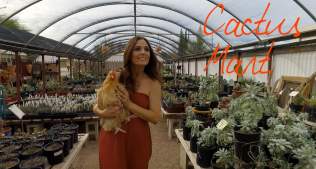 Cactus Mart ~ Wander List