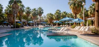Pool with surrounding palm trees and blue umbrellas