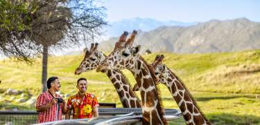 The Living Desert Zoo and Gardens