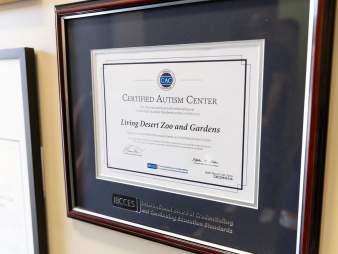 The Living Desert Zoo and Gardens, a Certified Autism Center in Greater Palm Springs