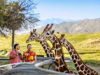 The Living Desert Zoo and Gardens