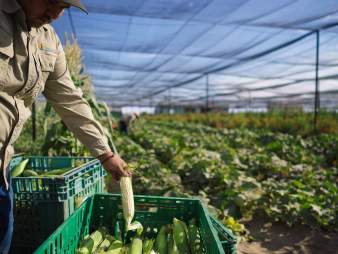 GPS23_Coachella_Agriculture_Temalpakh_Farms_001