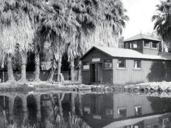 A small wooden building beside a calm pond, surrounded by tall palm trees with their reflections visible in the water.