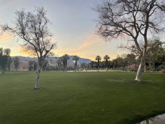 Main City Pages header