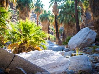 indian canyons web