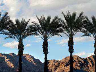 press_header_1920x544