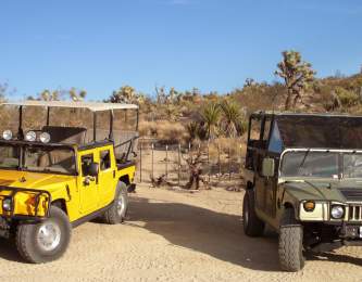 Two Hummers from Adventure Hummer Tours in Joshua Tree, California