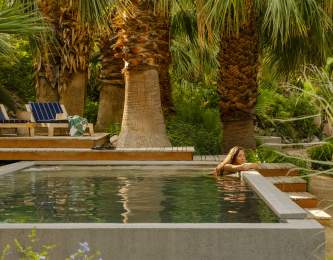 Two Bunch Palms in Desert Hot Springs