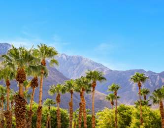 Mountains and palm trees in Palm Springs, CA