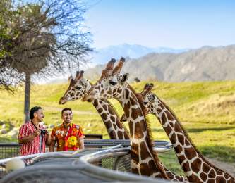 The Living Desert Zoo and Gardens
