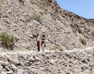 Bump and Grind Trail in Palm Desert