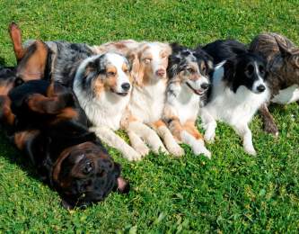 1920x1080 istock 68448783 xlarge web