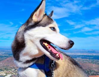 1920x1080 istock 88641619 xlarge web