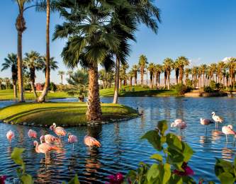 JW Marriott Desert Springs Resort & Spa