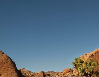 Outdoor Adventures Wellest Joshua Tree