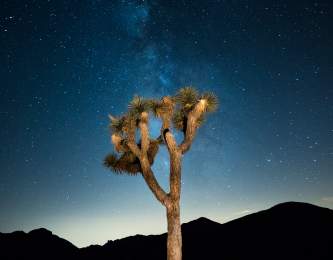 Joshua Tree National Park