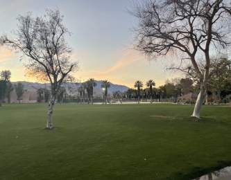 Main City Pages header