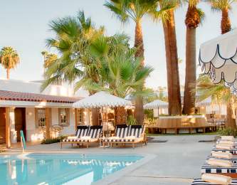 Palm trees at the pool at Dive Palm Springs.