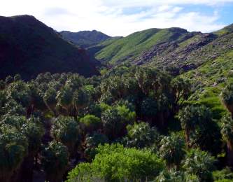 Palm Canyon, Mountains