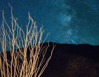 Anza Borrego at Night